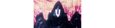 46. திருவேளுக்கை